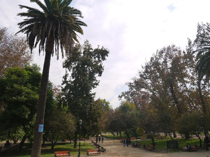 Hotel Principado Lastarria 3*